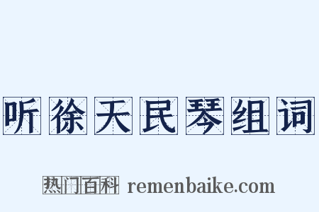 听徐天民琴组词是什么意思的图片